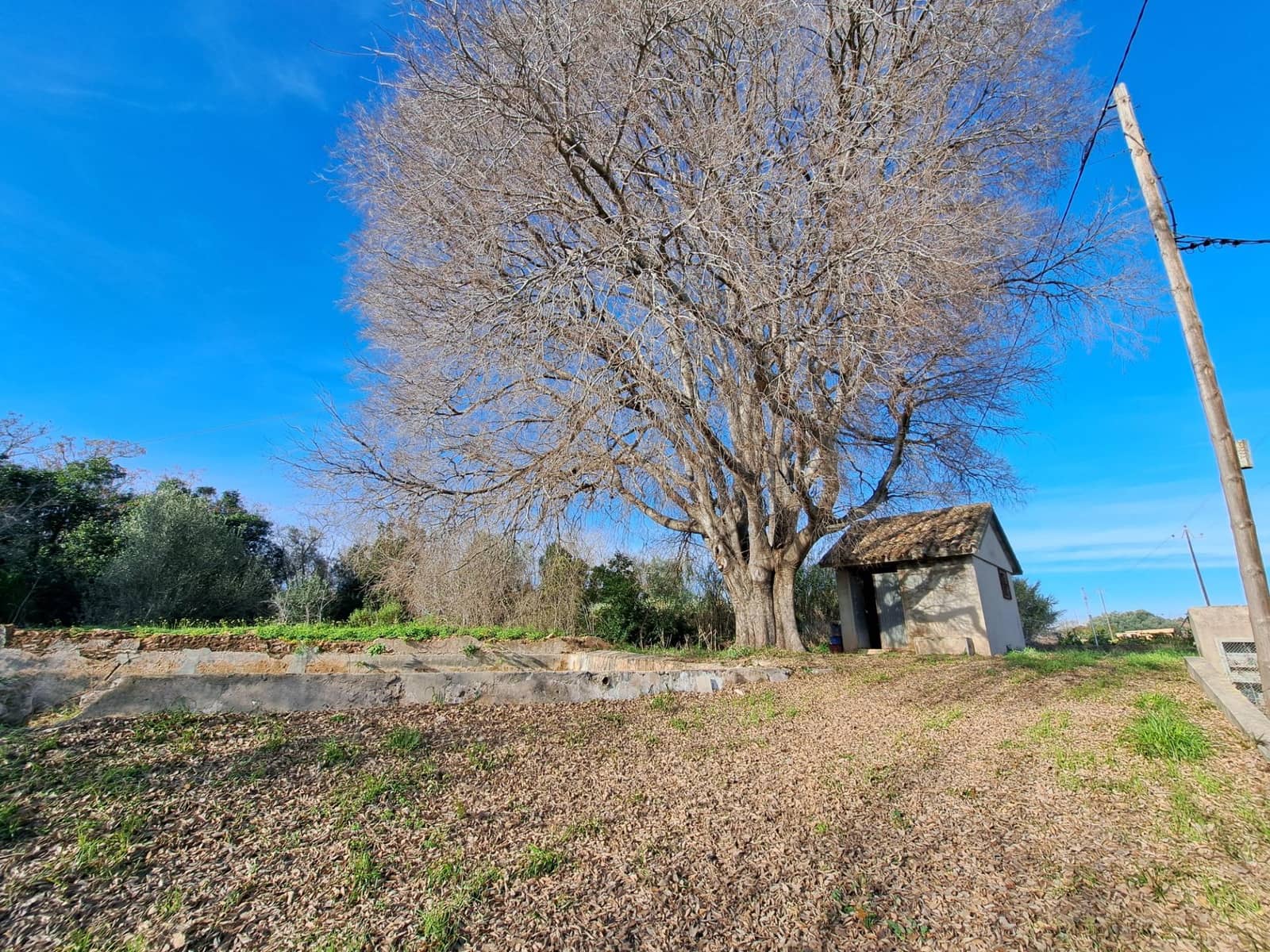 Teren niezagospodarowany na sprzedaż w Alzira - 130 000 € (Ref: 9504246)