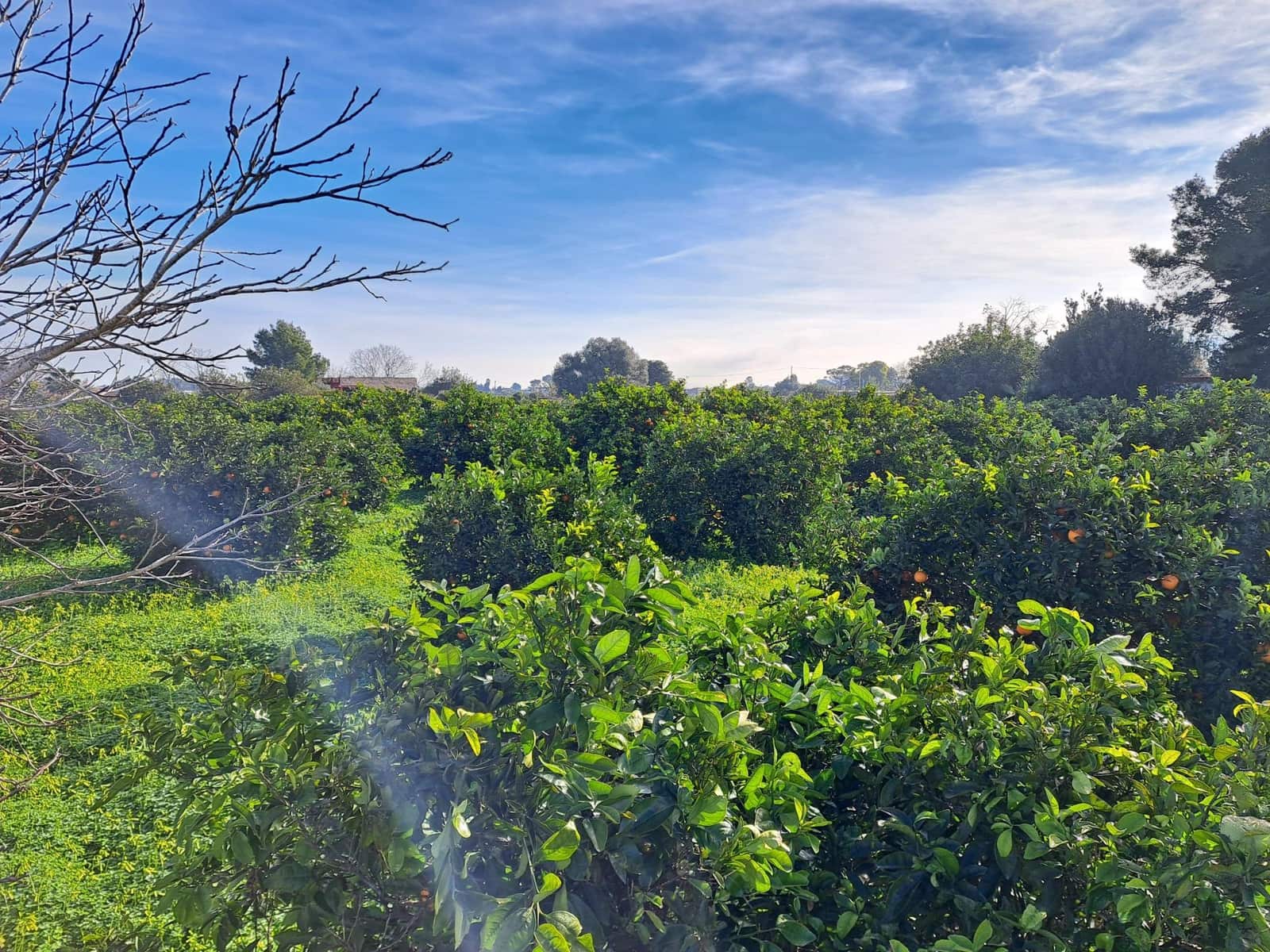 Teren niezagospodarowany na sprzedaż w Alzira - 130 000 € (Ref: 9504246)