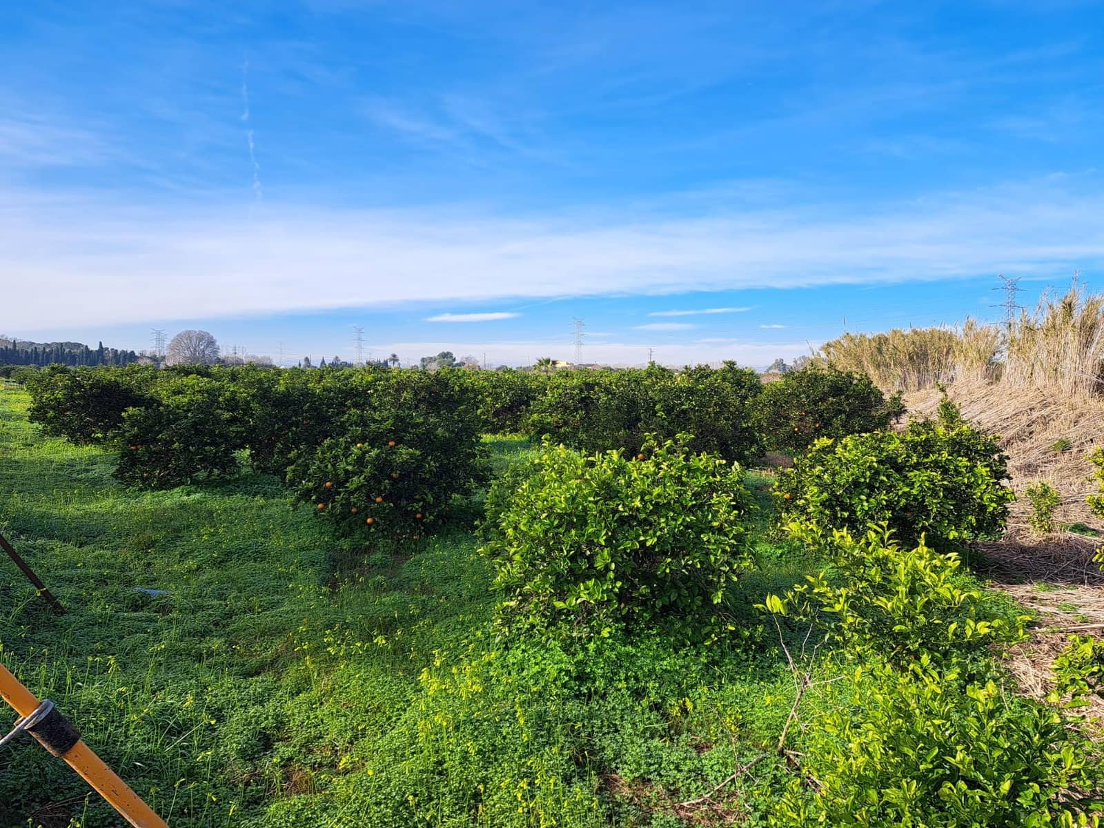 Teren niezagospodarowany na sprzedaż w Alzira - 130 000 € (Ref: 9504246)