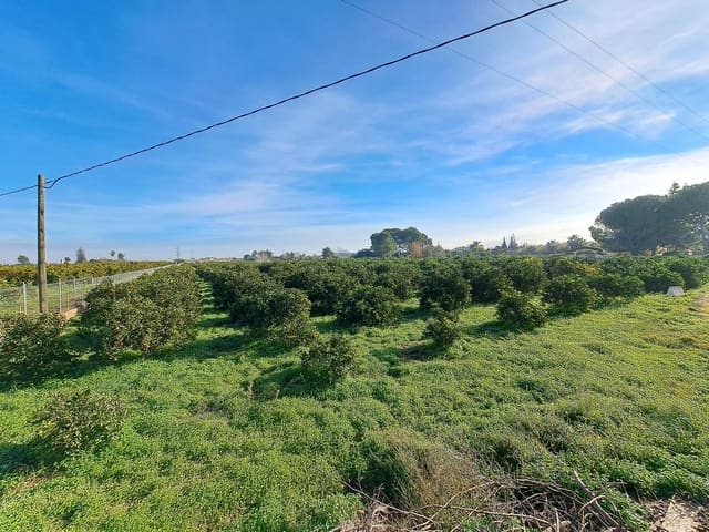 Teren niezagospodarowany na sprzedaż w Alzira - 130 000 € (Ref: 9504246)