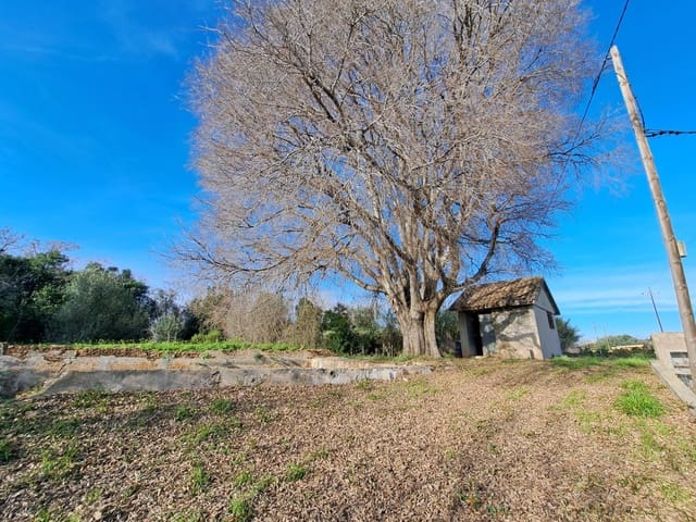 Teren niezagospodarowany na sprzedaż w Alzira - 130 000 € (Ref: 9504246)