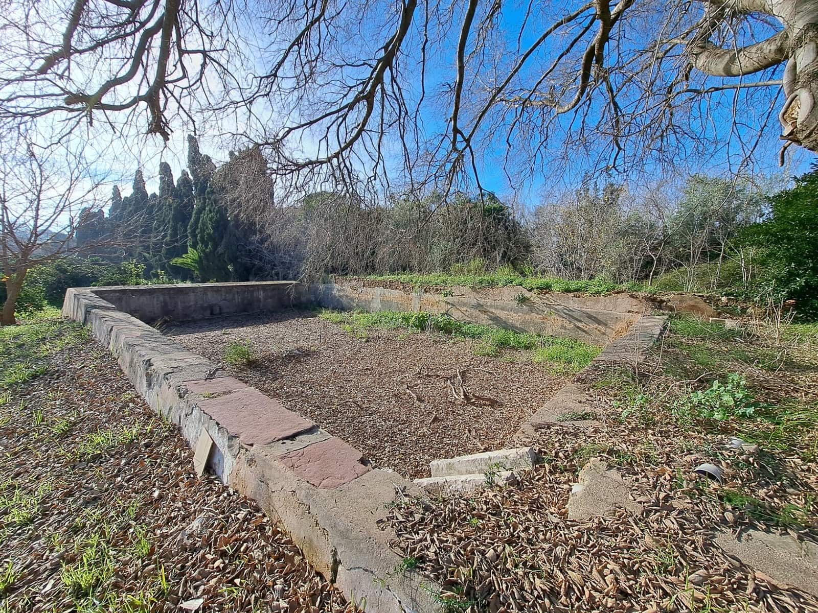 Teren niezagospodarowany na sprzedaż w Alzira - 130 000 € (Ref: 9504246)