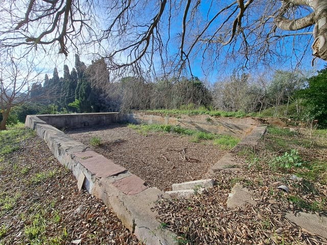 Teren niezagospodarowany na sprzedaż w Alzira - 130 000 € (Ref: 9504246)