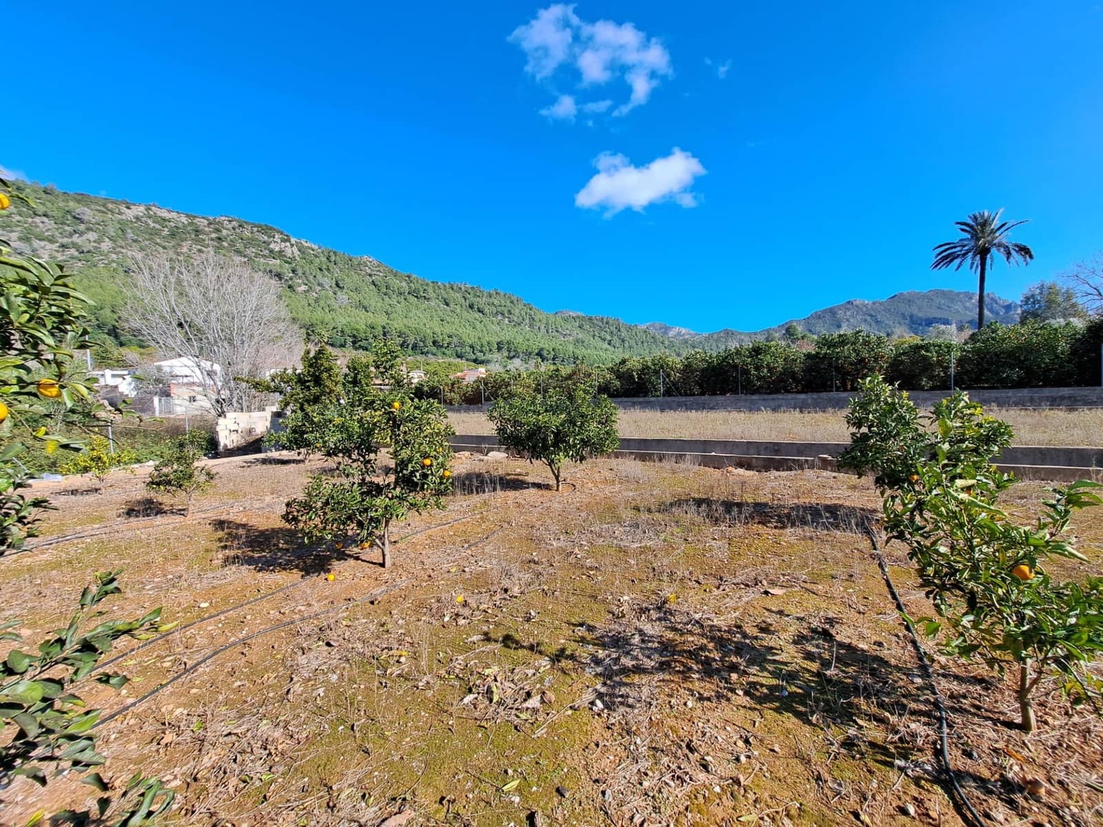 4 chambre Villa/Maison à vendre à Alzira avec piscine - 205 000 € (Ref: 9535889)