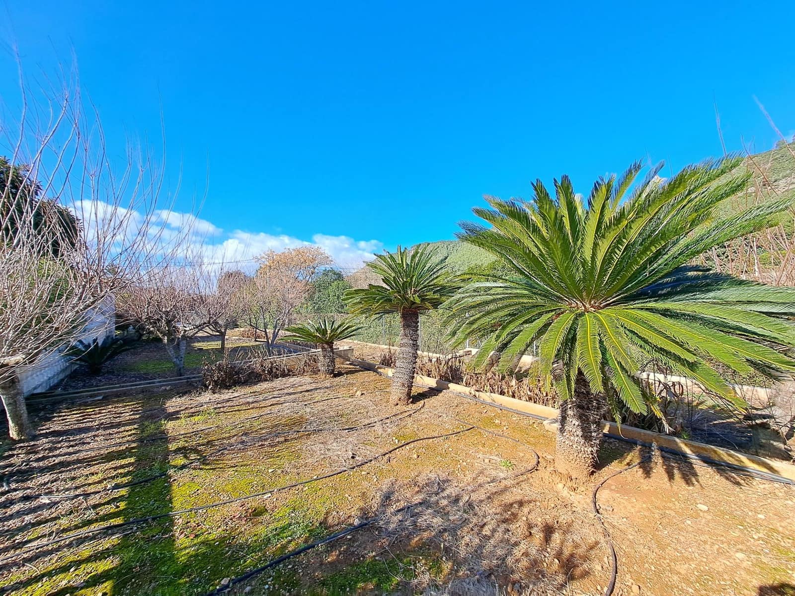 4 chambre Villa/Maison à vendre à Alzira avec piscine - 205 000 € (Ref: 9535889)