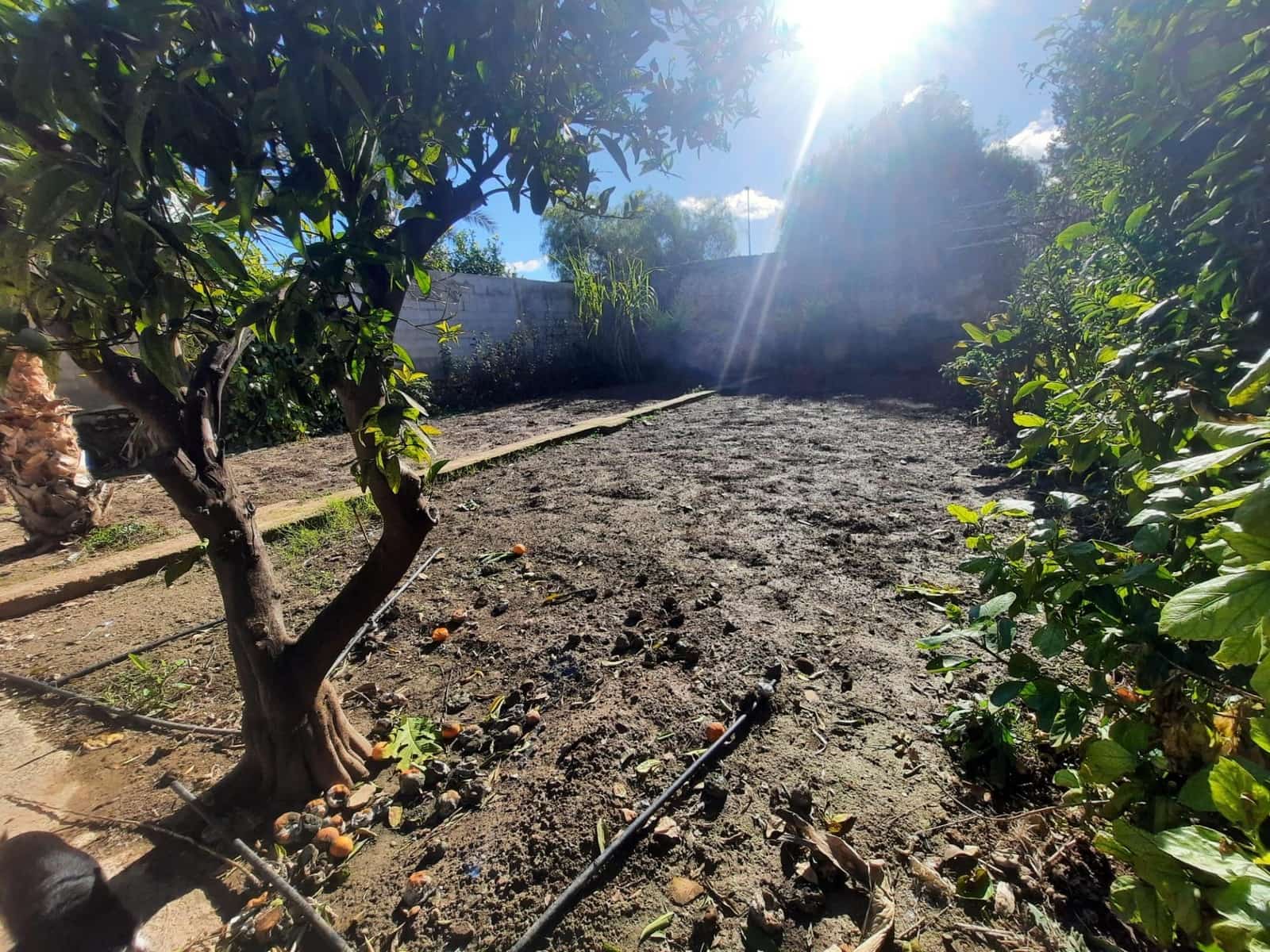 5 slaapkamer Villa te koop in Alcantera de Xuquer - € 198.000 (Ref: 9574586)