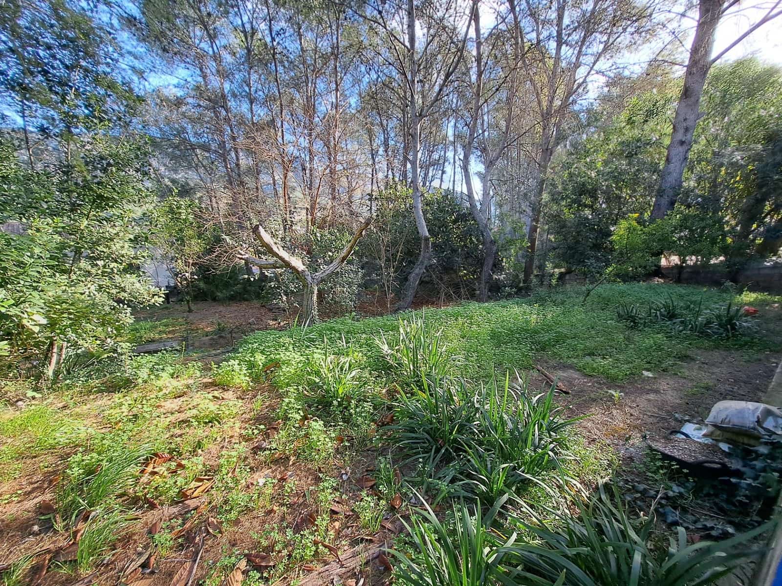 3 quarto Moradia para venda em Alzira com piscina - 235 000 € (Ref: 9611501)