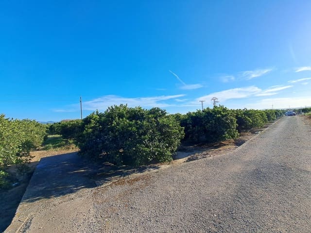 Undeveloped Land for sale in Alzira - € 87,000 (Ref: 9735555)