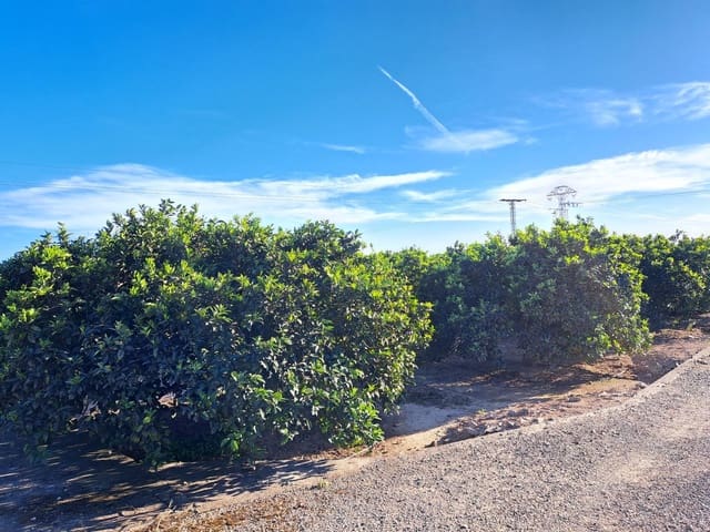 Undeveloped Land for sale in Alzira - € 87,000 (Ref: 9735555)