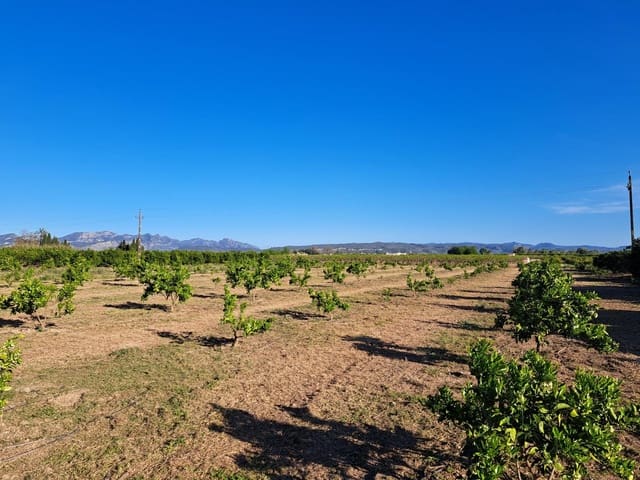 Undeveloped Land for sale in Alzira - € 87,000 (Ref: 9735555)