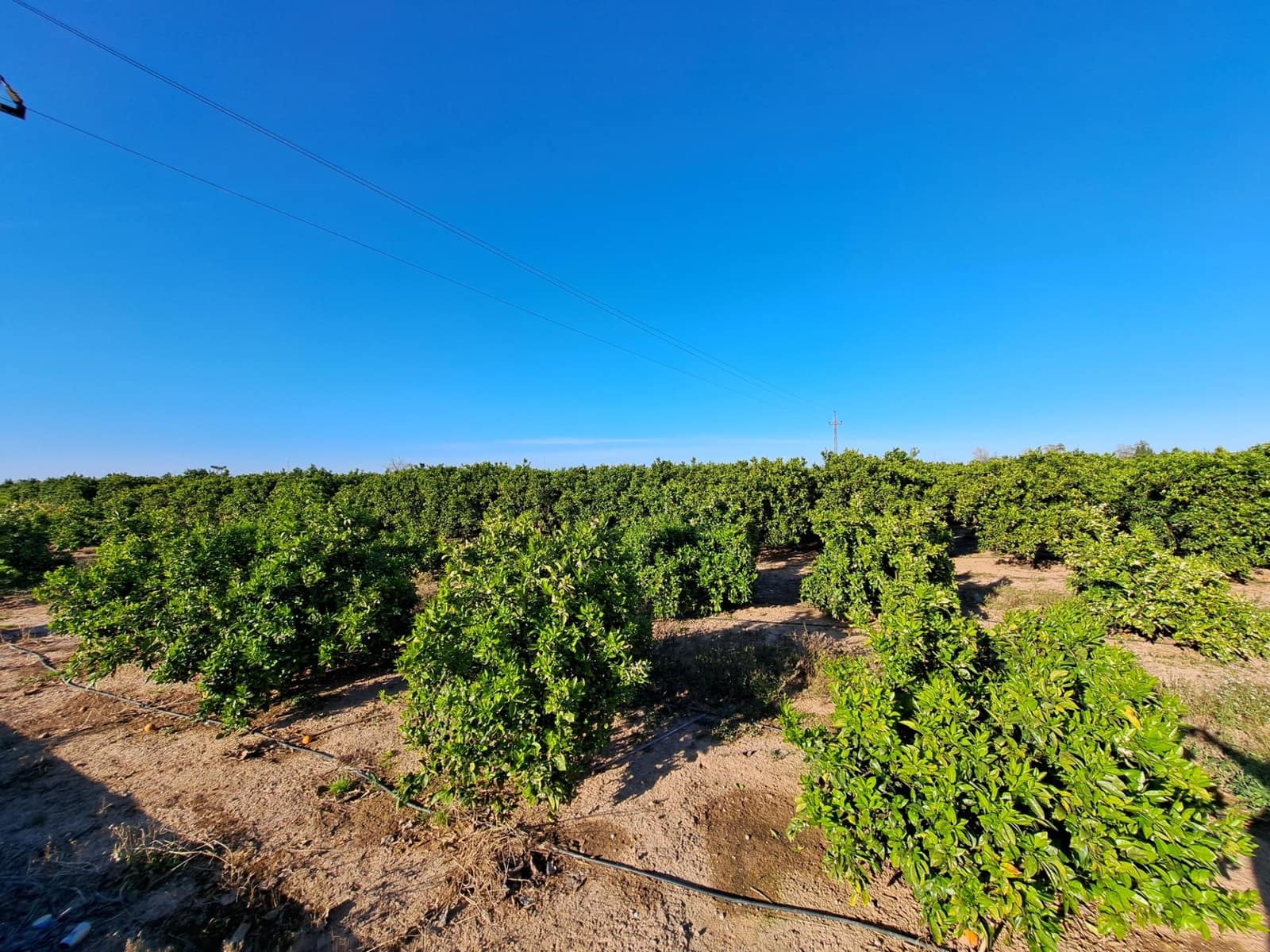 Terreno Não Urbanizado para venda em Alzira - 87 000 € (Ref: 9735555)