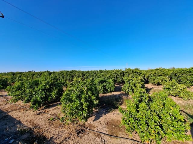 Undeveloped Land for sale in Alzira - € 87,000 (Ref: 9735555)