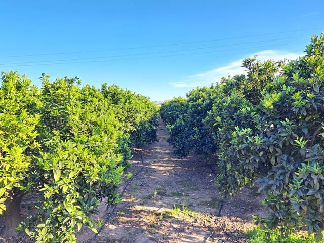 Undeveloped Land for sale in Alzira - € 87,000 (Ref: 9735555)