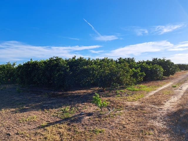 Undeveloped Land for sale in Alzira - € 87,000 (Ref: 9735555)