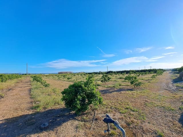 Undeveloped Land for sale in Alzira - € 87,000 (Ref: 9735555)