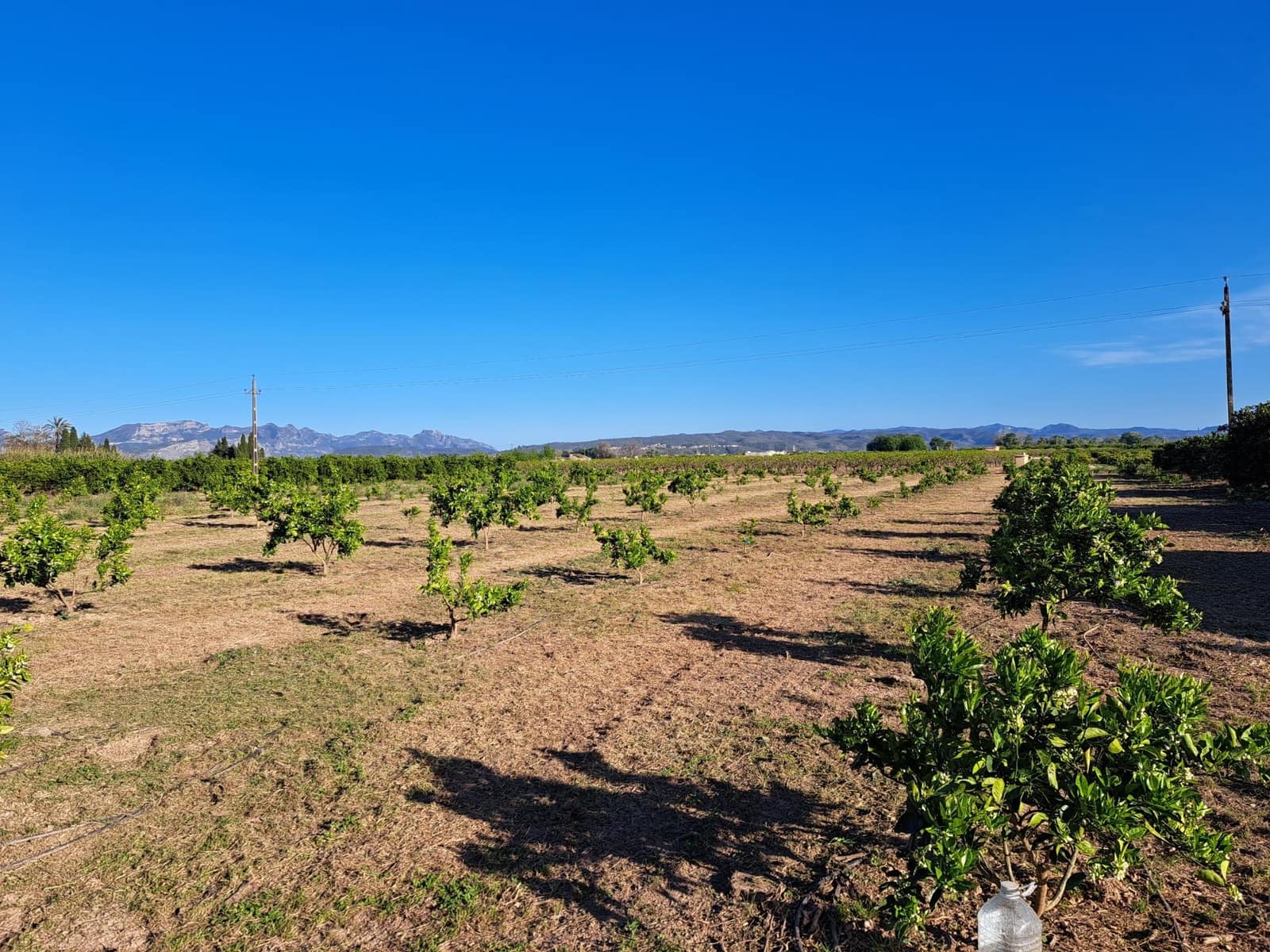 Terreno Não Urbanizado para venda em Alzira - 87 000 € (Ref: 9735555)
