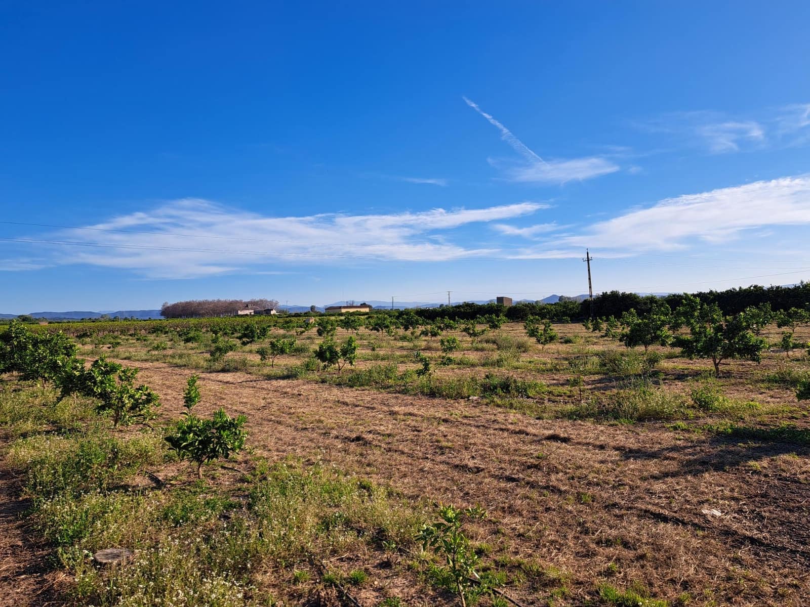 Terreno Não Urbanizado para venda em Alzira - 87 000 € (Ref: 9735555)