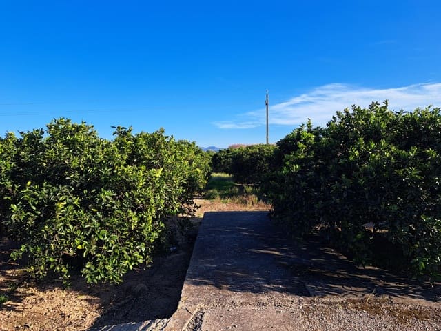 Undeveloped Land for sale in Alzira - € 87,000 (Ref: 9735555)