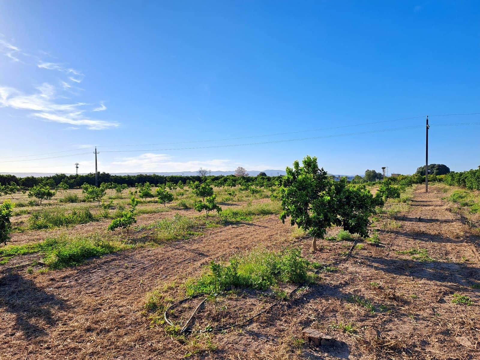 Terreno Não Urbanizado para venda em Alzira - 87 000 € (Ref: 9735555)