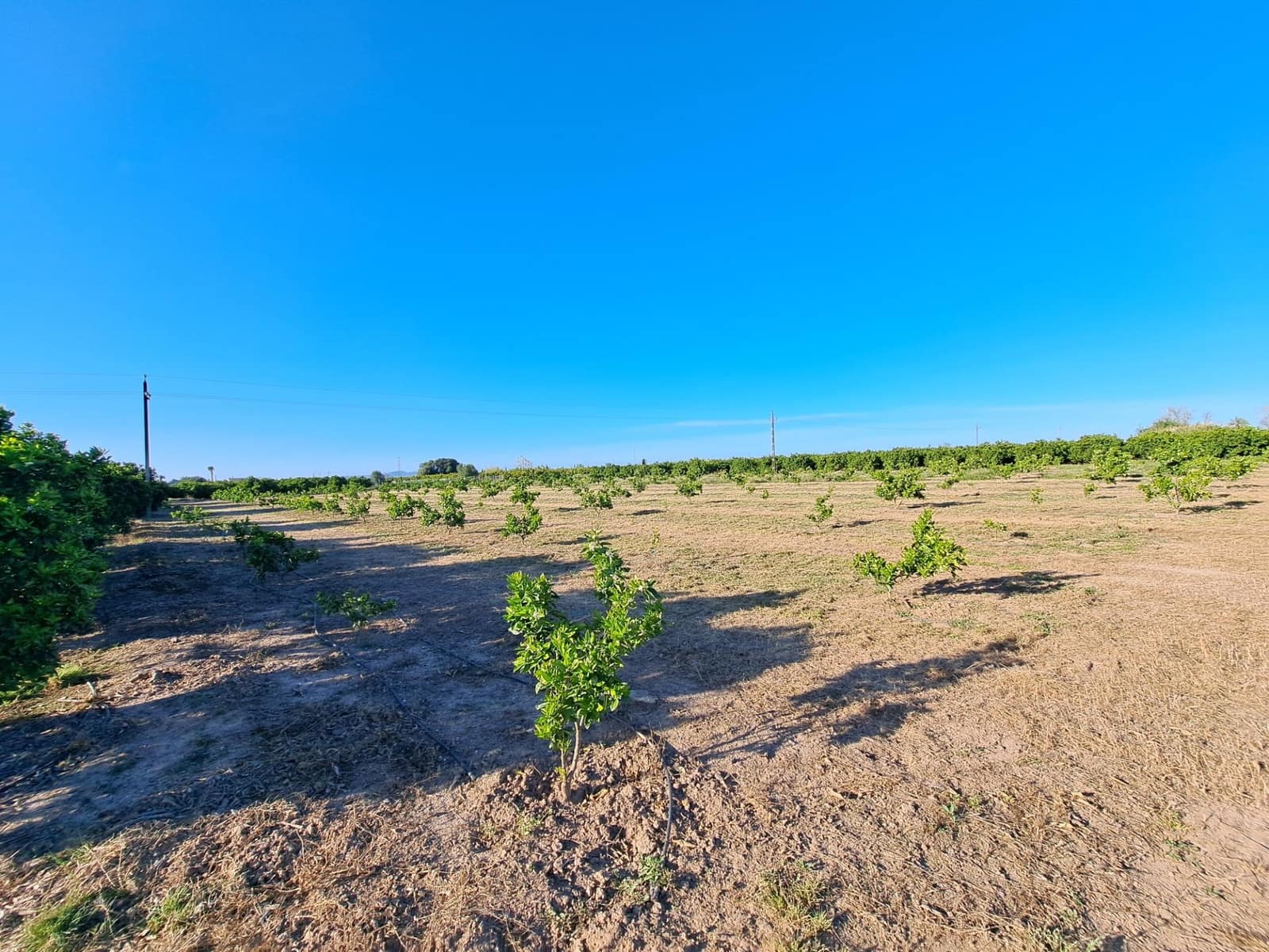 Terreno Não Urbanizado para venda em Alzira - 87 000 € (Ref: 9735555)