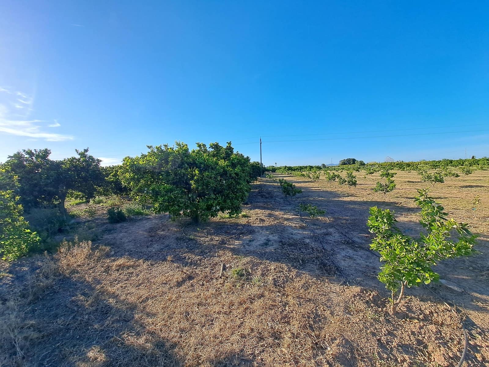 Terreno Não Urbanizado para venda em Alzira - 87 000 € (Ref: 9735555)