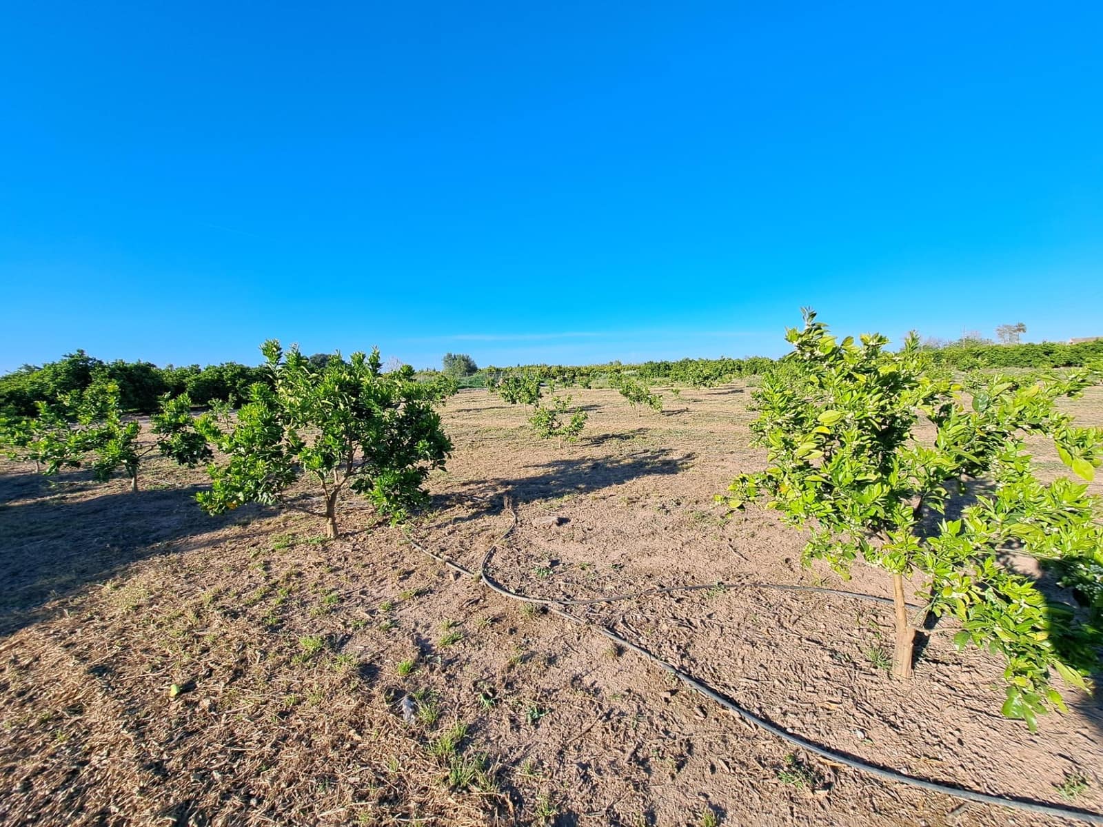 Terreno Não Urbanizado para venda em Alzira - 87 000 € (Ref: 9735555)