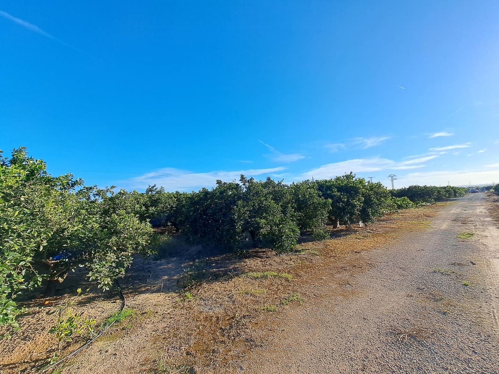 Terreno Não Urbanizado para venda em Alzira - 87 000 € (Ref: 9735555)