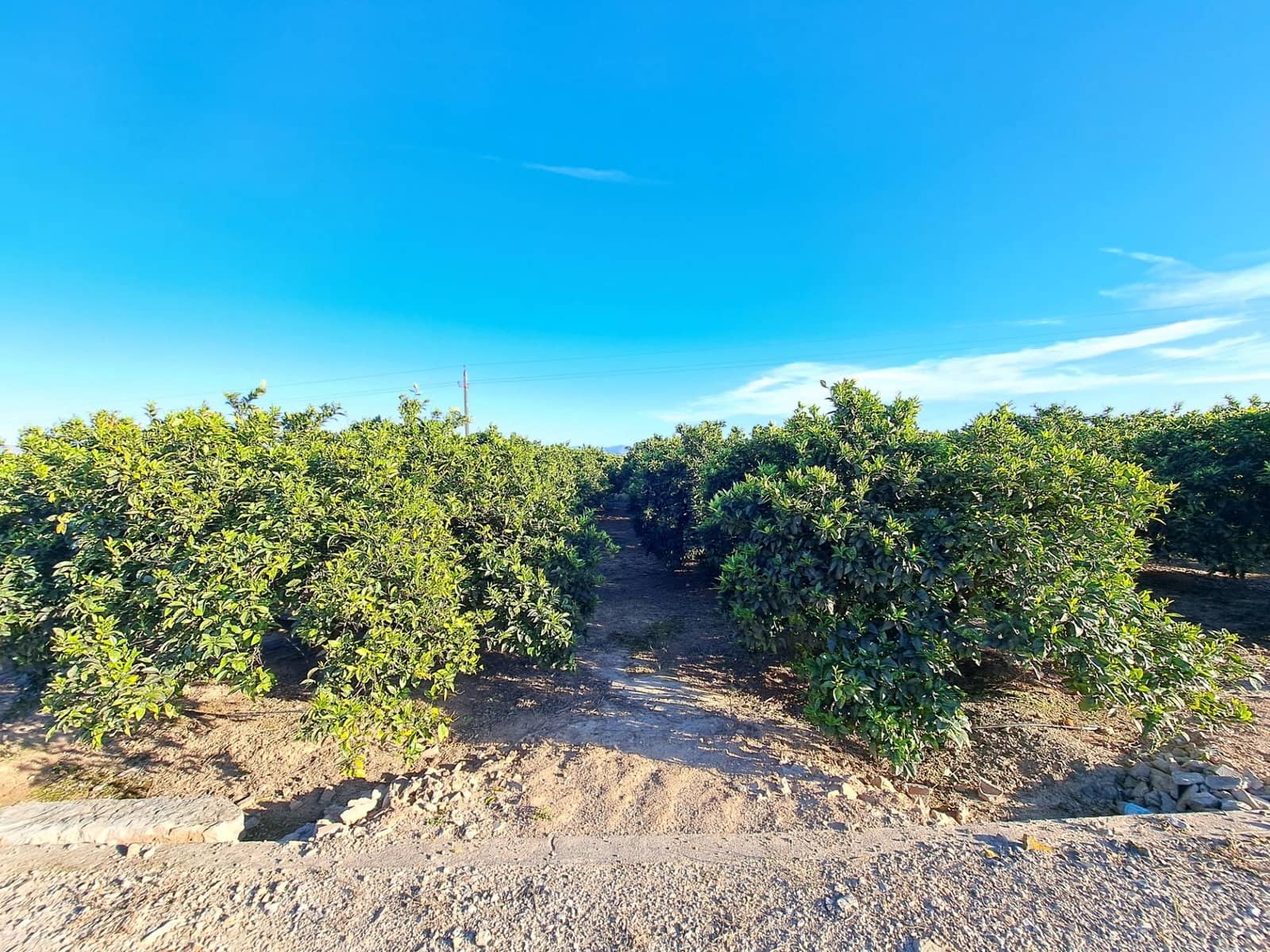 Terreno Não Urbanizado para venda em Alzira - 87 000 € (Ref: 9735555)