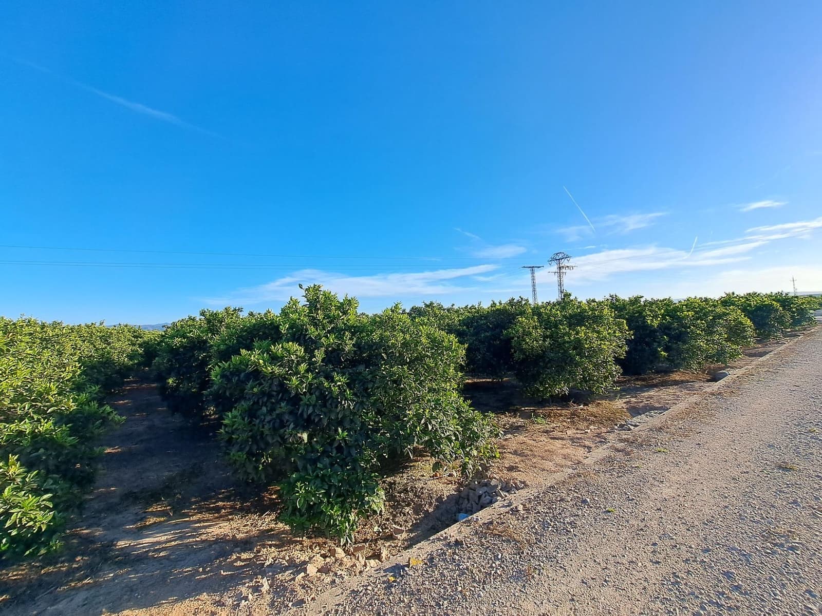 Terreno Não Urbanizado para venda em Alzira - 87 000 € (Ref: 9735555)