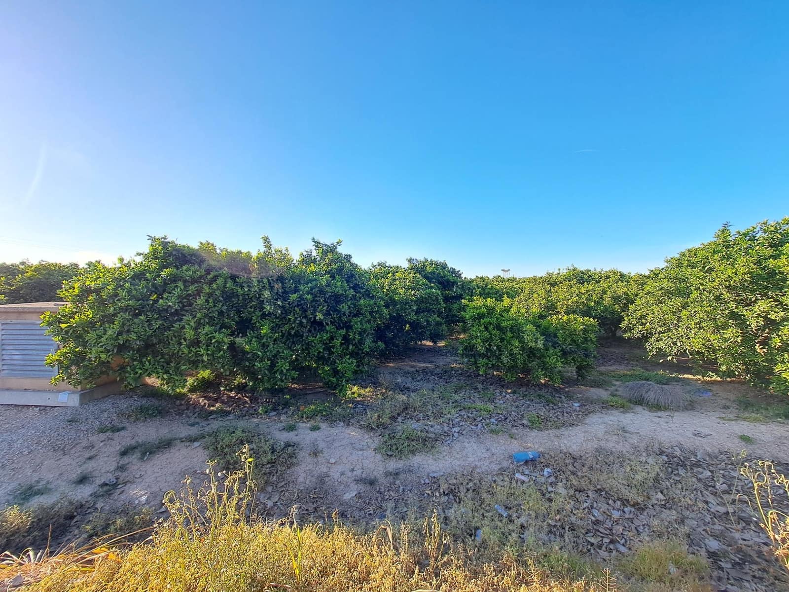 Terreno Não Urbanizado para venda em Alzira - 87 000 € (Ref: 9735555)