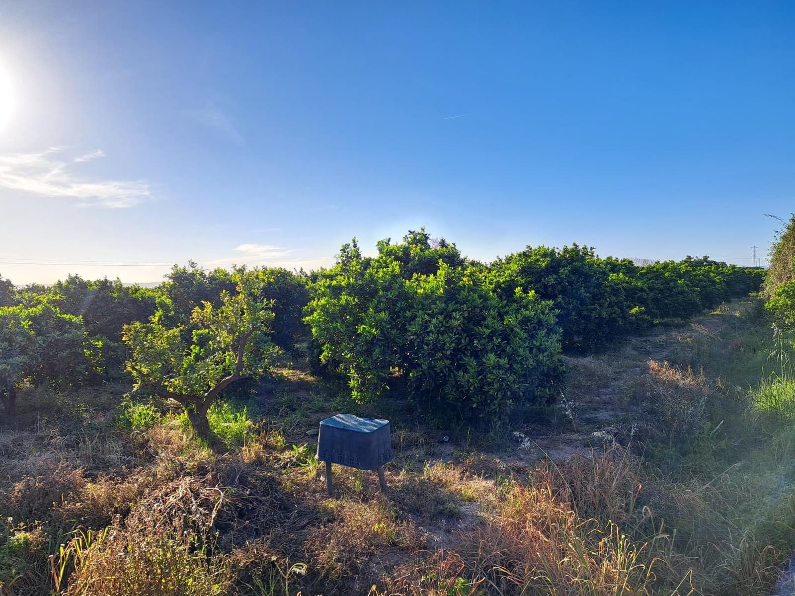 Terreno Não Urbanizado para venda em Alzira - 87 000 € (Ref: 9735555)