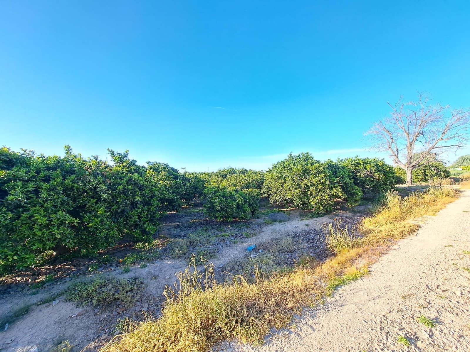 Terreno Não Urbanizado para venda em Alzira - 87 000 € (Ref: 9735555)