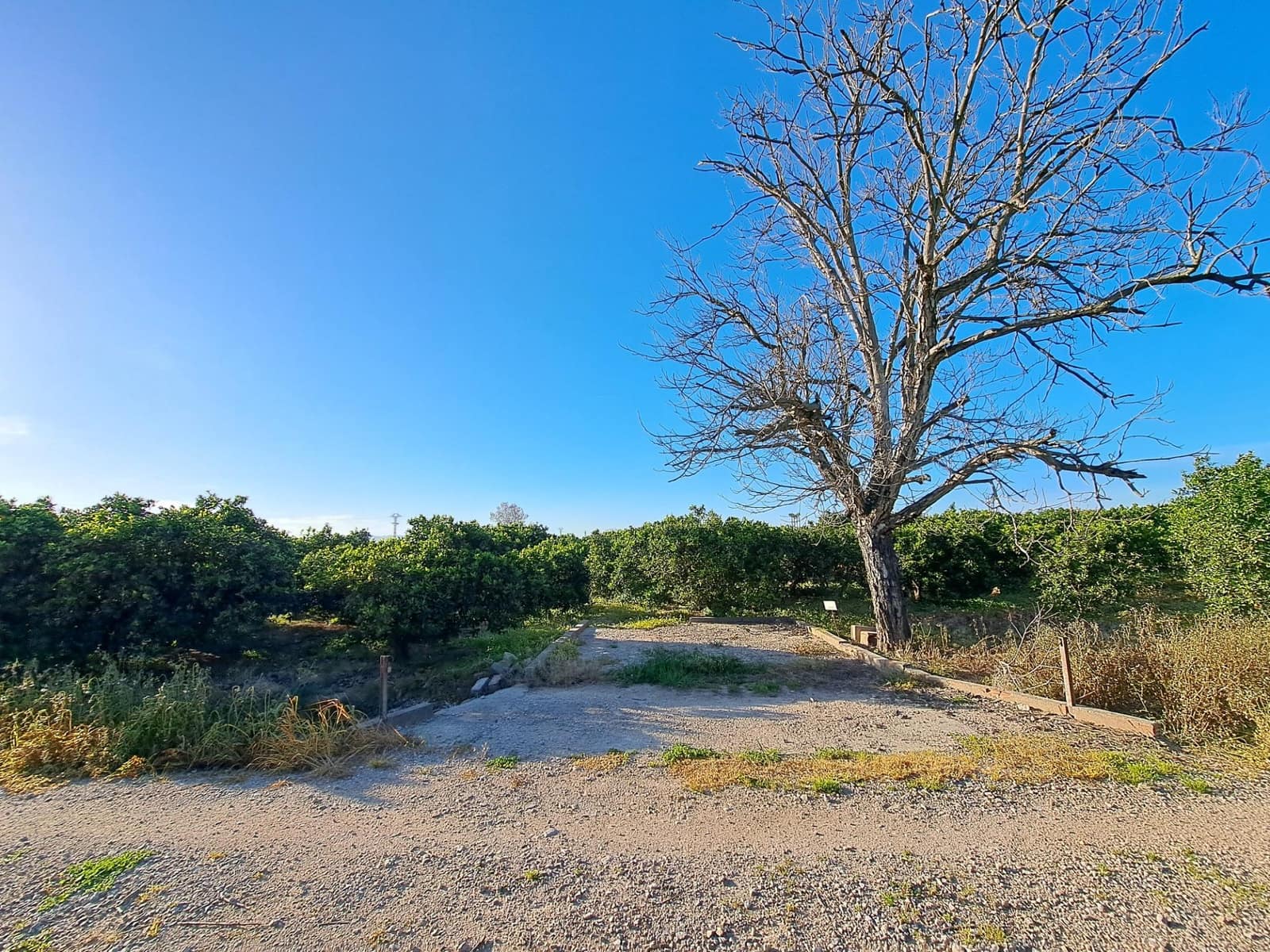 Terreno Não Urbanizado para venda em Alzira - 87 000 € (Ref: 9735555)