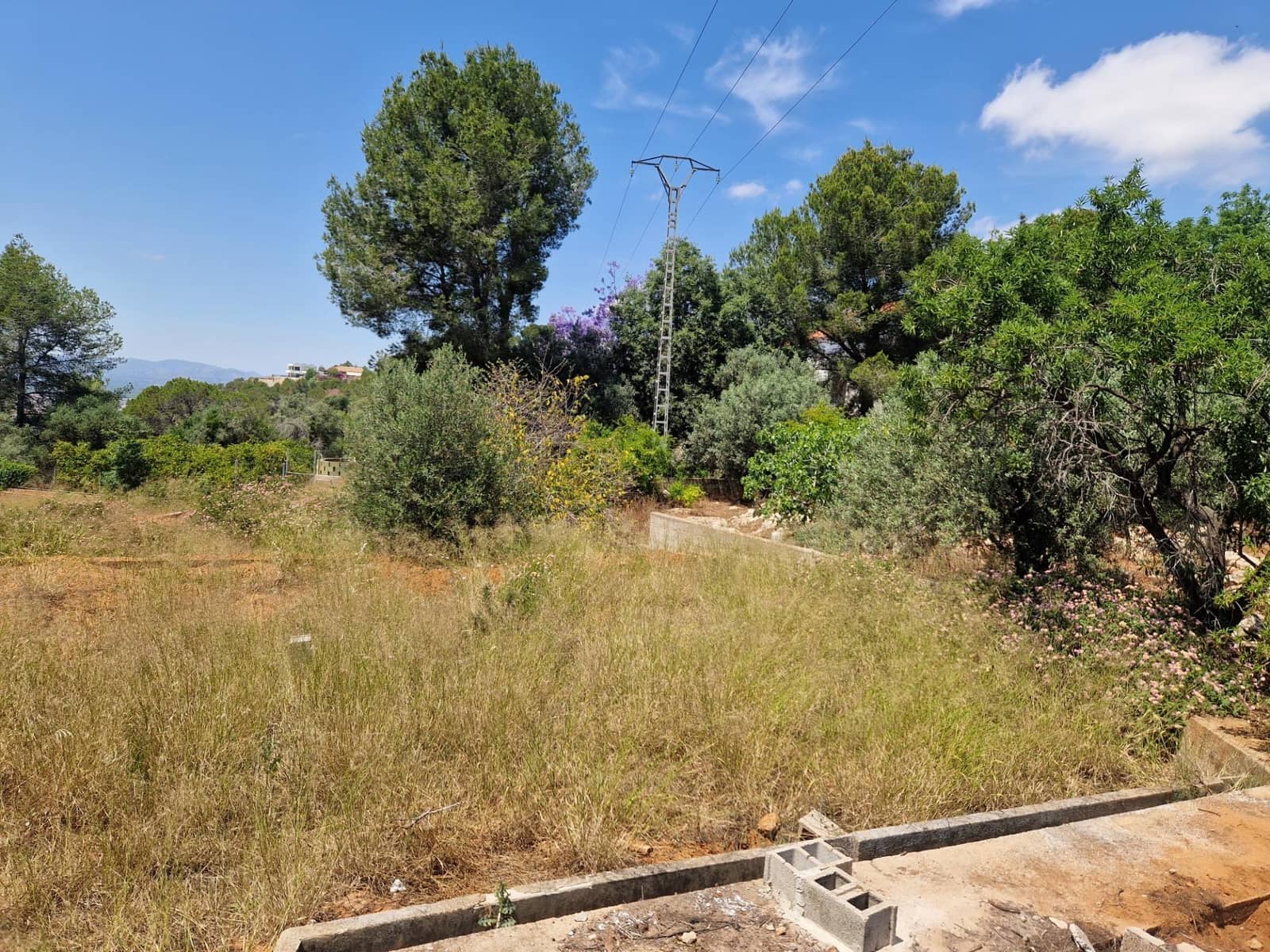 Building Plot for sale in Alzira - € 90,000 (Ref: 9741718)