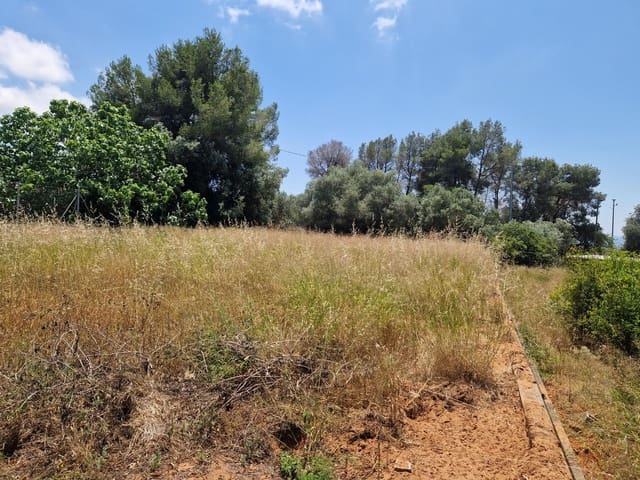 Building Plot for sale in Alzira - € 90,000 (Ref: 9741718)