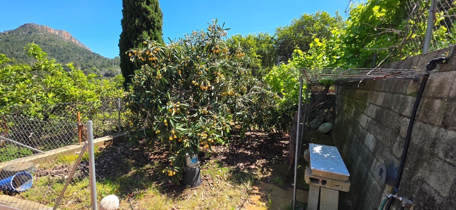 3 chambre Villa/Maison à vendre à Alzira avec piscine - 240 000 € (Ref: 9788373)