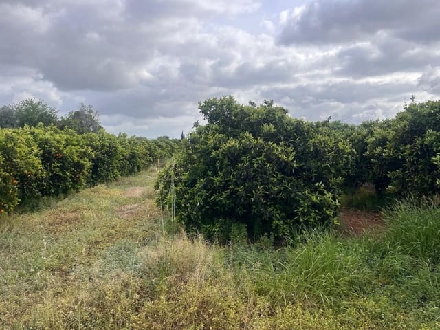 Bauplatz zu verkaufen in Carcaixent - 63.000 € (Ref: 9807931)