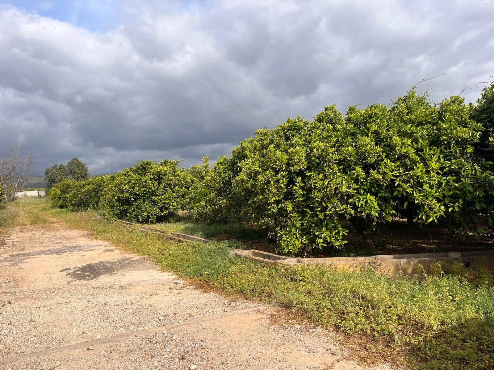 Bauplatz zu verkaufen in Carcaixent - 63.000 € (Ref: 9807931)