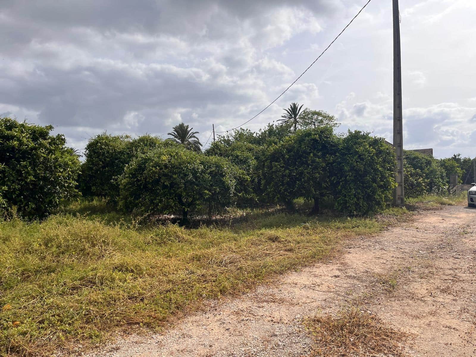 Bauplatz zu verkaufen in Carcaixent - 63.000 € (Ref: 9807931)