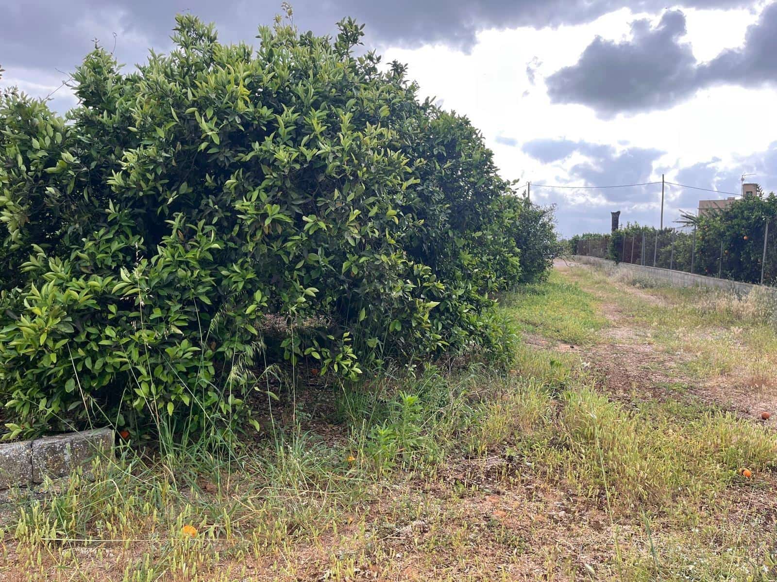 Bauplatz zu verkaufen in Carcaixent - 63.000 € (Ref: 9807931)