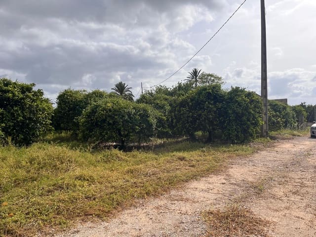 Bauplatz zu verkaufen in Carcaixent - 63.000 € (Ref: 9807931)