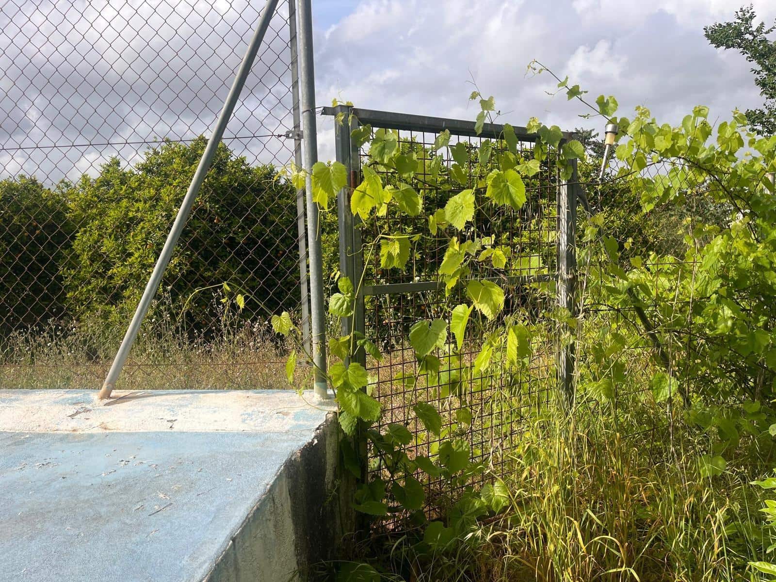 Bauplatz zu verkaufen in Carcaixent - 63.000 € (Ref: 9807931)