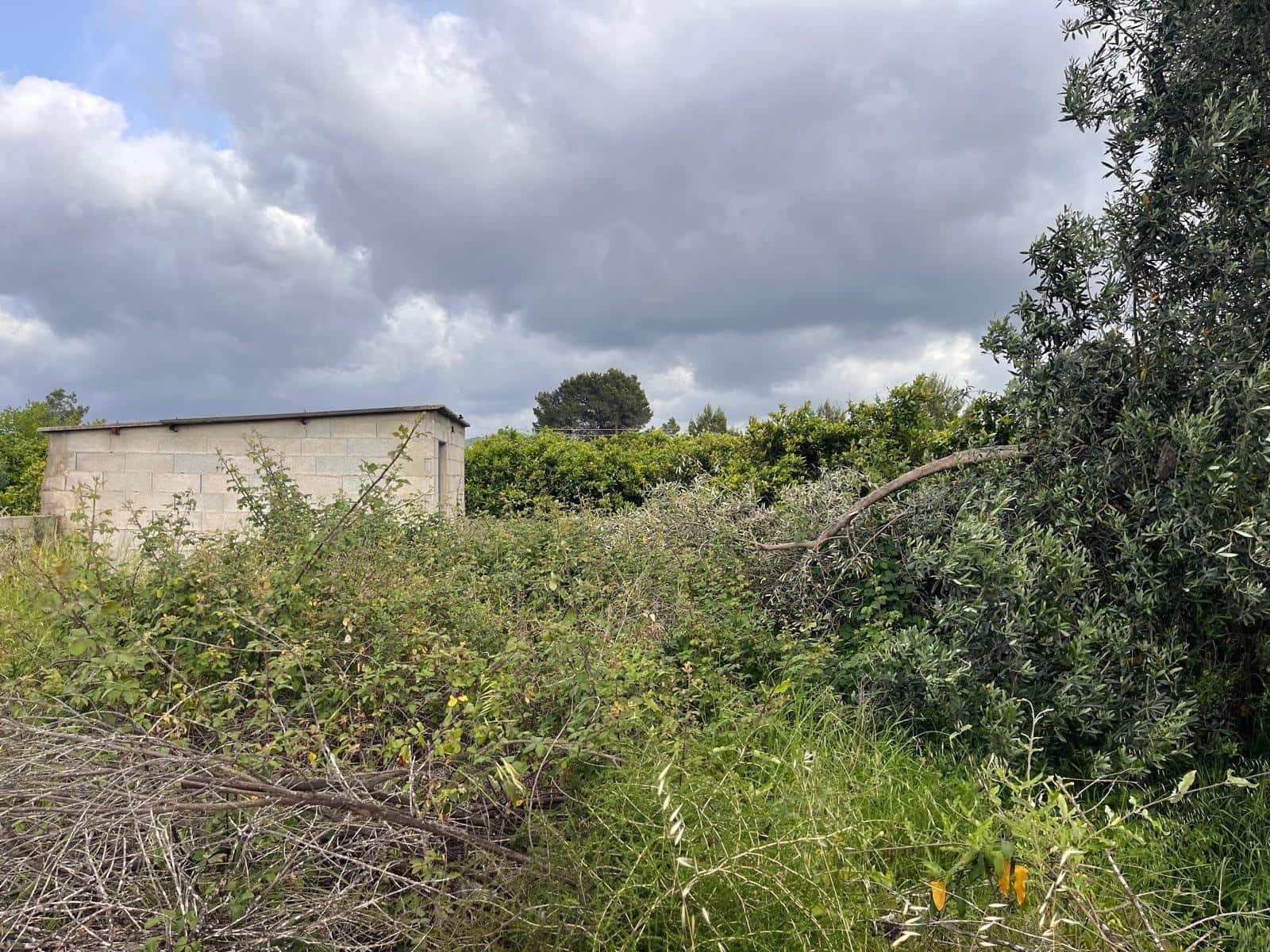 Bauplatz zu verkaufen in Carcaixent - 63.000 € (Ref: 9807931)