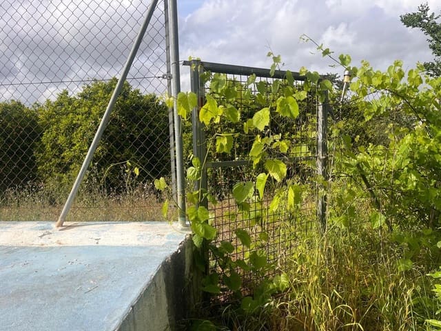 Bauplatz zu verkaufen in Carcaixent - 63.000 € (Ref: 9807931)