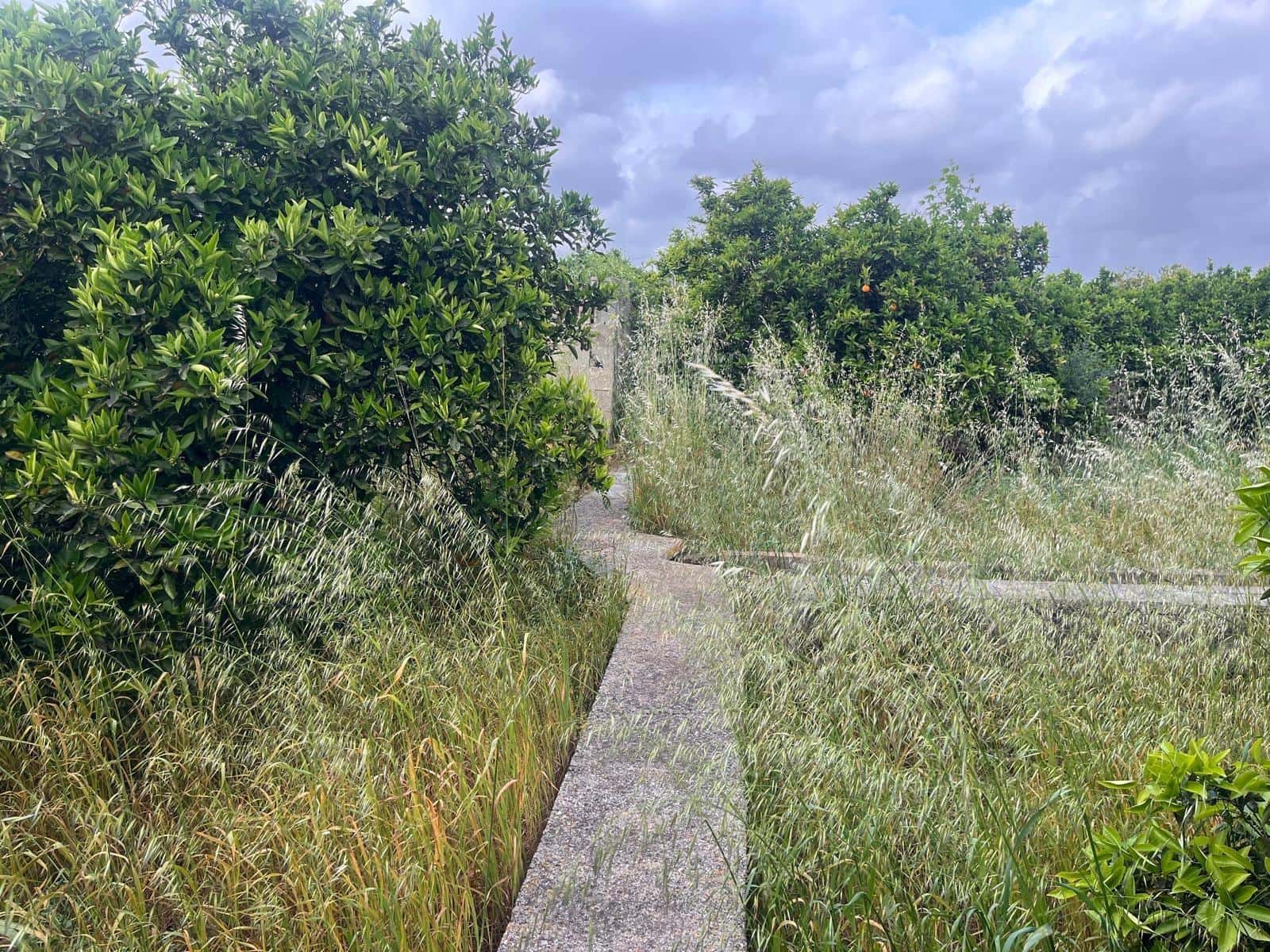 Bauplatz zu verkaufen in Carcaixent - 63.000 € (Ref: 9807931)