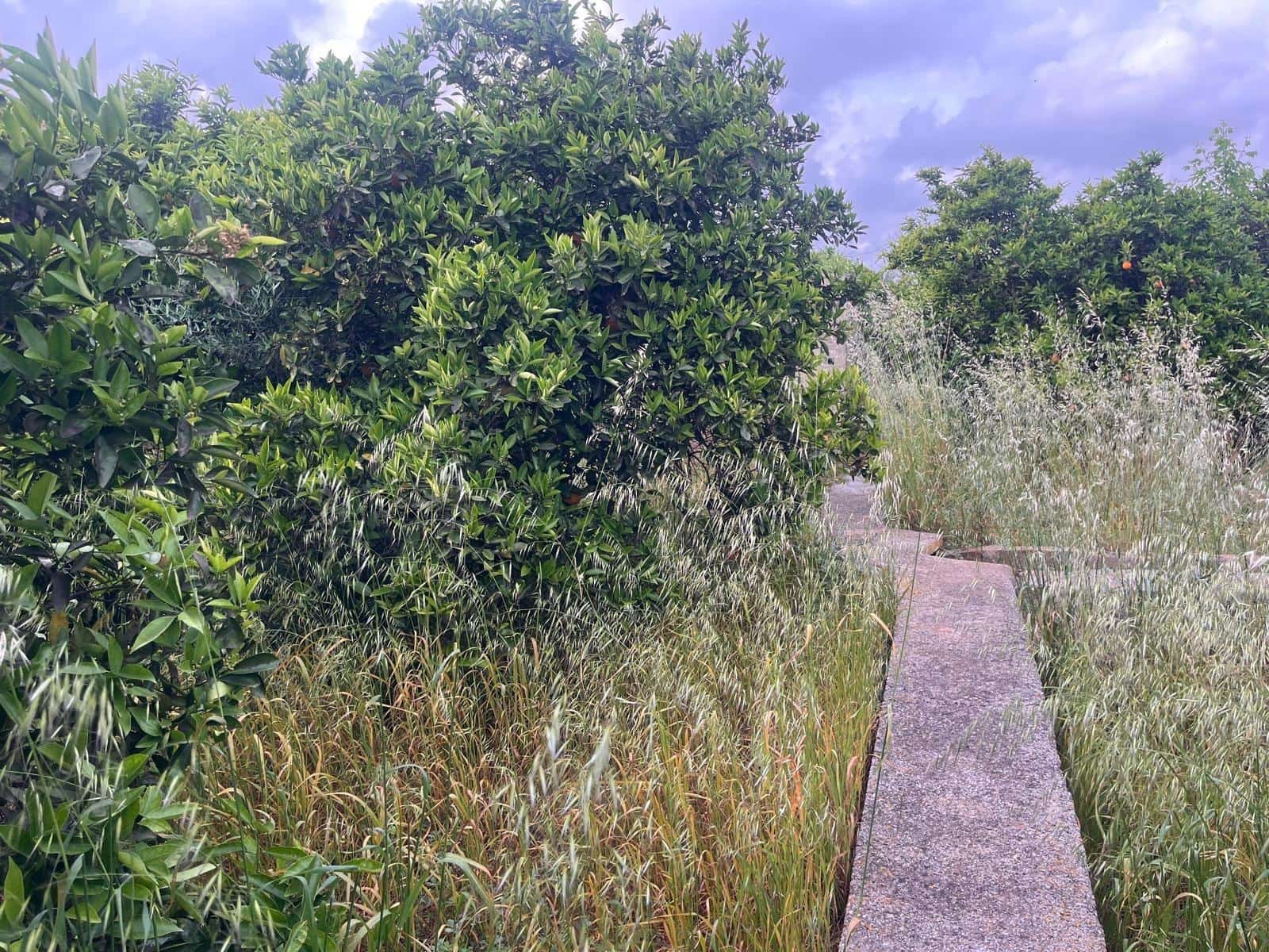 Bauplatz zu verkaufen in Carcaixent - 63.000 € (Ref: 9807931)