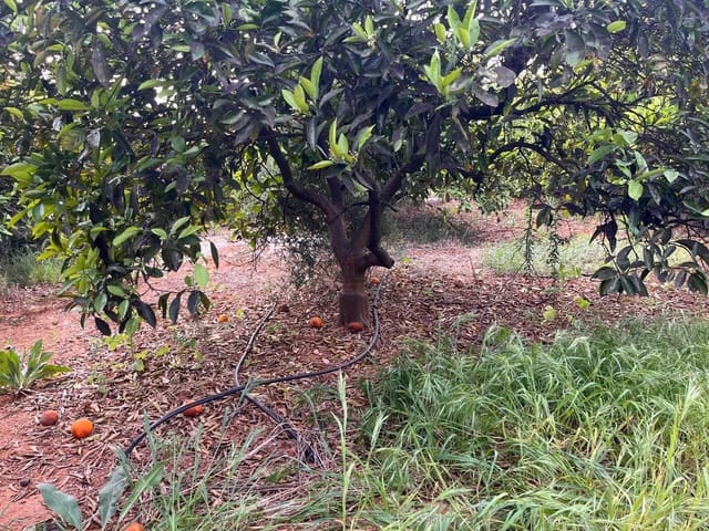 Bauplatz zu verkaufen in Carcaixent - 63.000 € (Ref: 9807931)