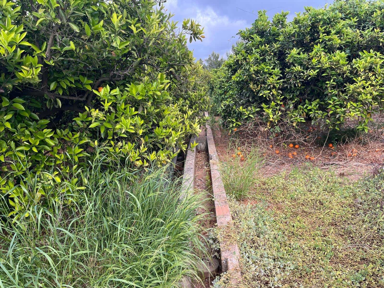 Bauplatz zu verkaufen in Carcaixent - 63.000 € (Ref: 9807931)