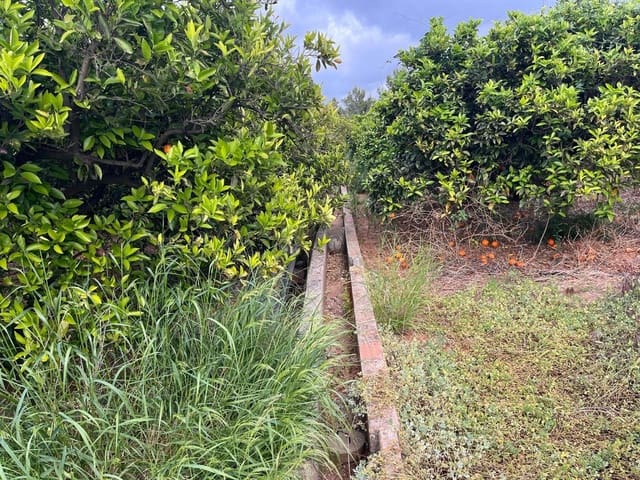 Bauplatz zu verkaufen in Carcaixent - 63.000 € (Ref: 9807931)