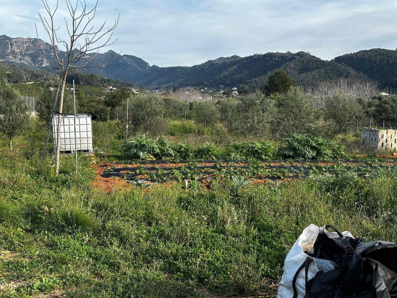 Undeveloped Land for sale in Alzira - € 57,000 (Ref: 9913146)